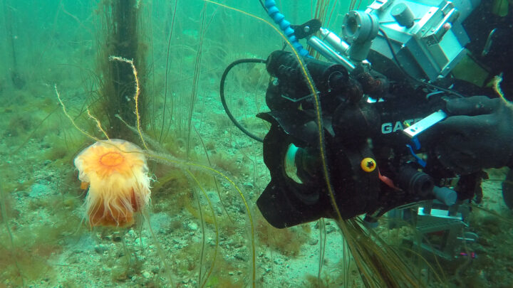 video gruppe 1 20200703 2026356115