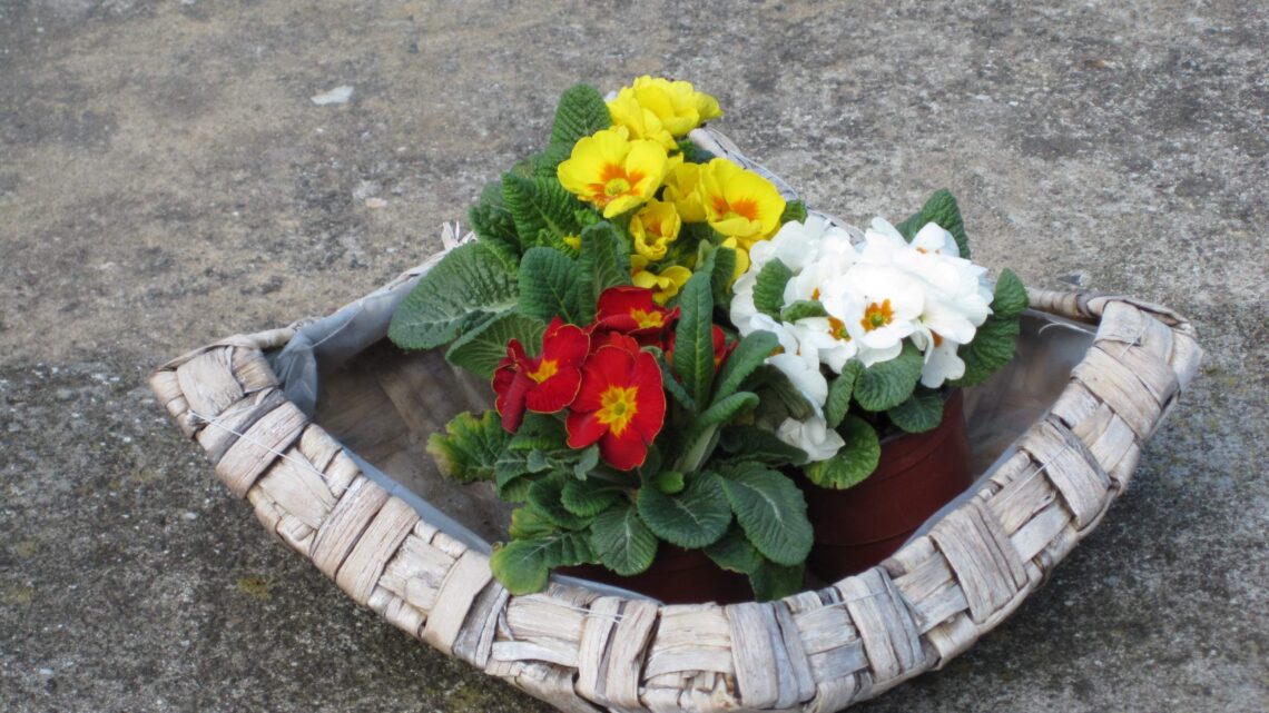 Vor&ouml;sterliches Antauchen