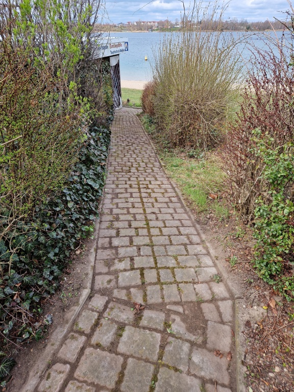 20220402 Subbotnik3