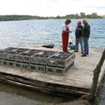Friedenstauchen_1
