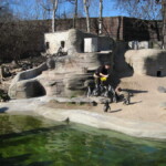 Zoo2012_1